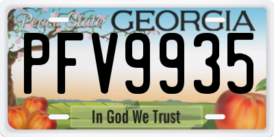 GA license plate PFV9935