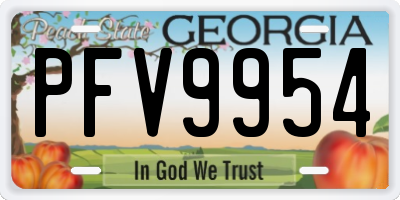GA license plate PFV9954