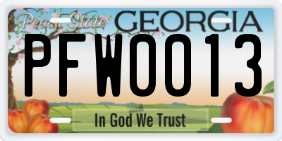 GA license plate PFW0013
