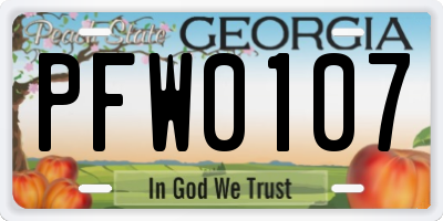 GA license plate PFW0107