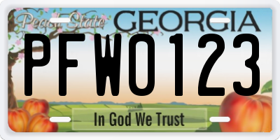 GA license plate PFW0123