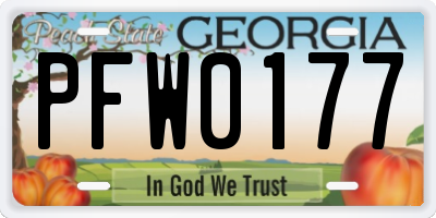 GA license plate PFW0177