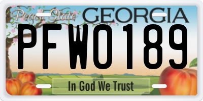 GA license plate PFW0189
