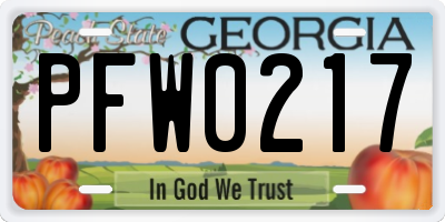 GA license plate PFW0217