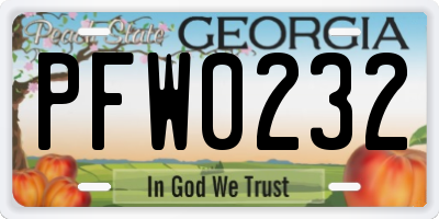 GA license plate PFW0232