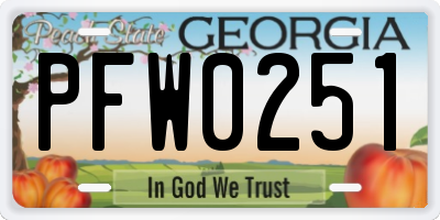 GA license plate PFW0251
