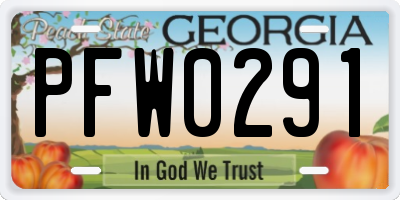 GA license plate PFW0291