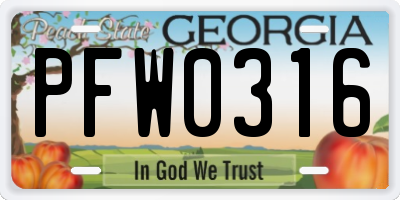 GA license plate PFW0316