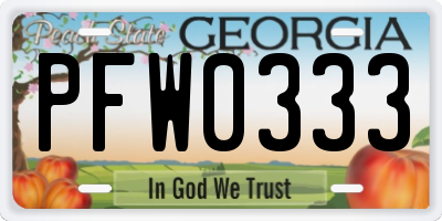 GA license plate PFW0333