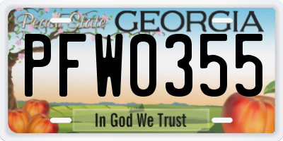 GA license plate PFW0355