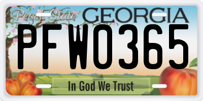 GA license plate PFW0365