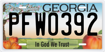 GA license plate PFW0392
