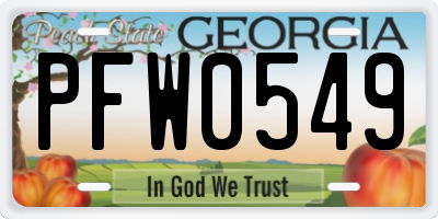 GA license plate PFW0549