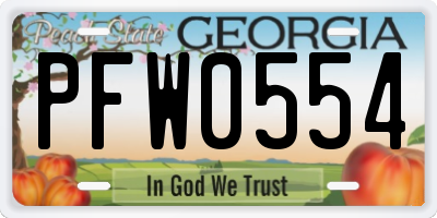 GA license plate PFW0554