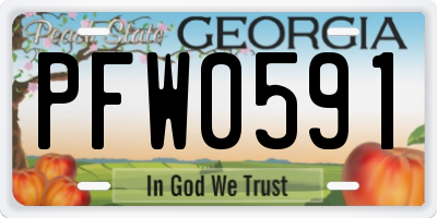 GA license plate PFW0591