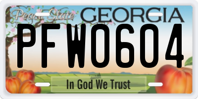 GA license plate PFW0604