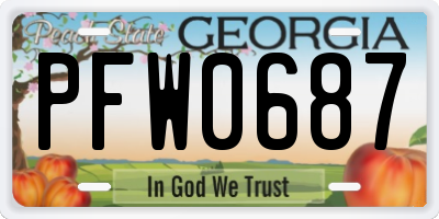 GA license plate PFW0687