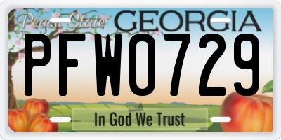 GA license plate PFW0729