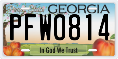 GA license plate PFW0814