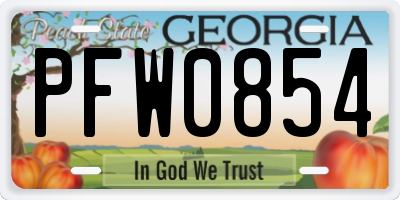 GA license plate PFW0854
