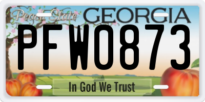 GA license plate PFW0873