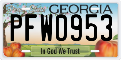 GA license plate PFW0953