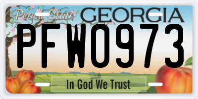 GA license plate PFW0973
