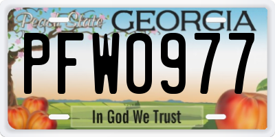 GA license plate PFW0977
