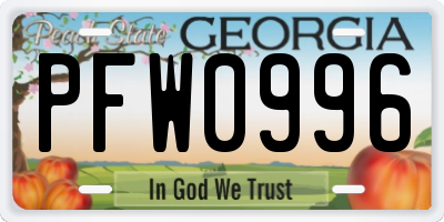 GA license plate PFW0996