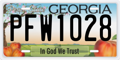 GA license plate PFW1028