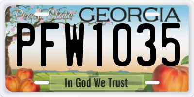 GA license plate PFW1035