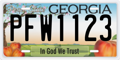 GA license plate PFW1123