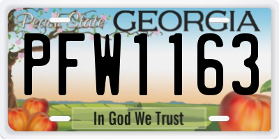 GA license plate PFW1163