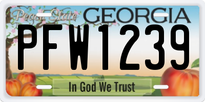 GA license plate PFW1239