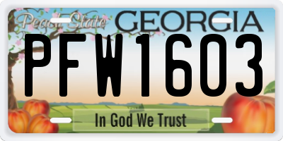 GA license plate PFW1603