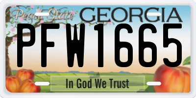 GA license plate PFW1665
