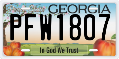 GA license plate PFW1807