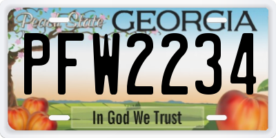 GA license plate PFW2234