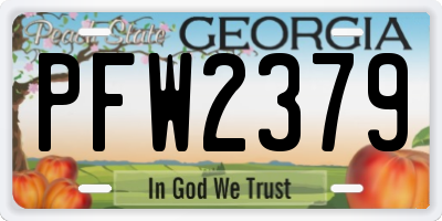 GA license plate PFW2379