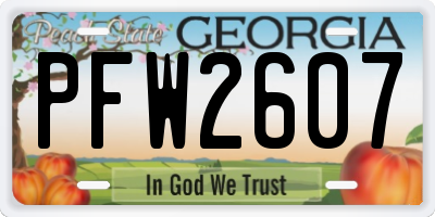 GA license plate PFW2607