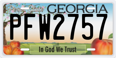GA license plate PFW2757