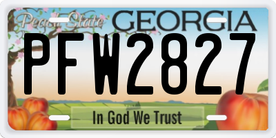 GA license plate PFW2827