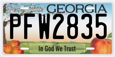 GA license plate PFW2835
