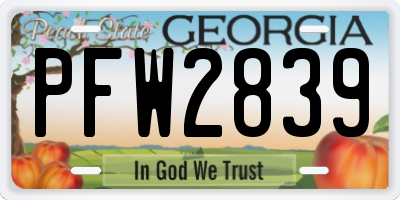 GA license plate PFW2839