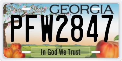 GA license plate PFW2847