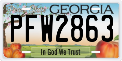 GA license plate PFW2863