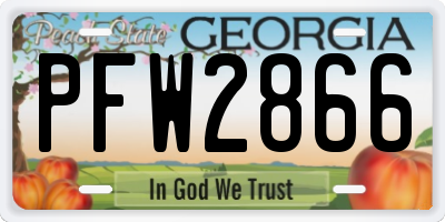 GA license plate PFW2866