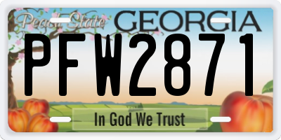 GA license plate PFW2871