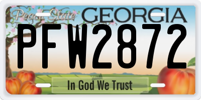 GA license plate PFW2872