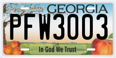 GA license plate PFW3003